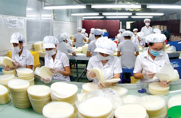 SMEs tiếp cận vốn vay ngân hàng: Khó chồng khó