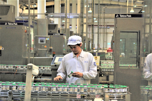 Vinamilk - thương hiệu sữa tươi dẫn đầu thị trường Việt Nam