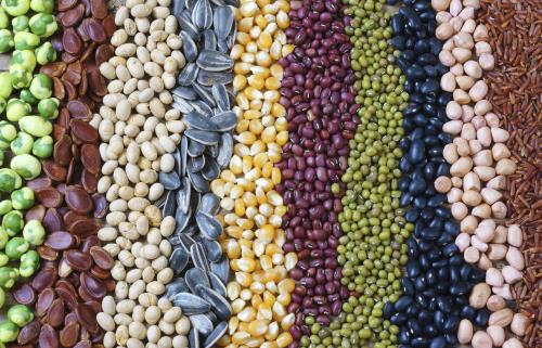 Giá nông sản thế giới biến động trái chiều