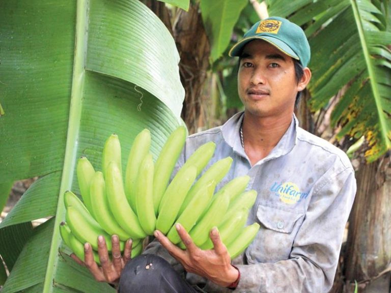 Unifarm - kẻ chơi sang trong nông nghiệp