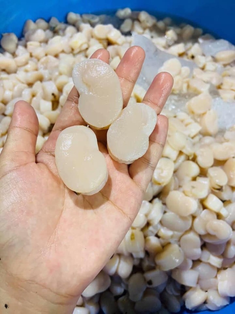 thuc-pham-gia-si-27