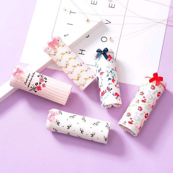 Quần lót nữ cute túi díp 5c giá sỉ 60k/hộp