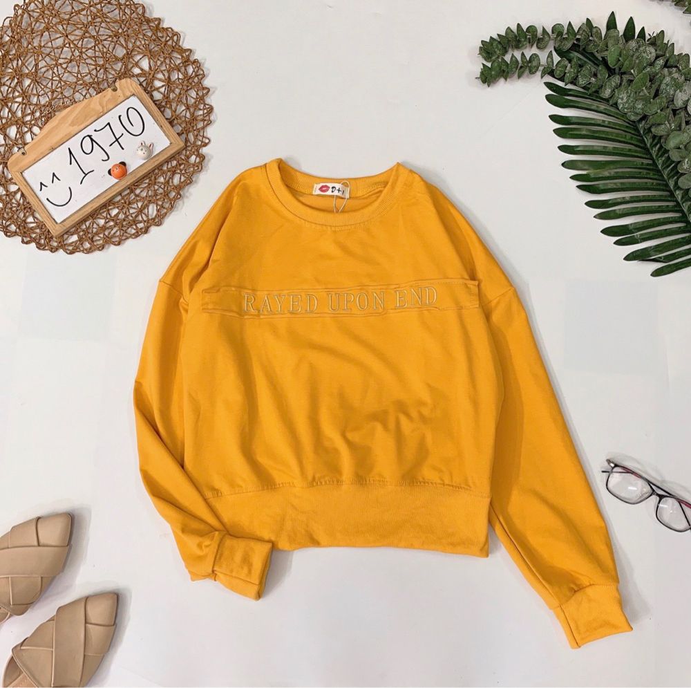 Áo thun hoodie giá sỉ
