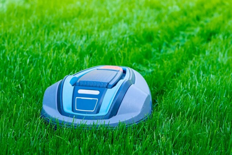 A robot lawn mower cutting grass
